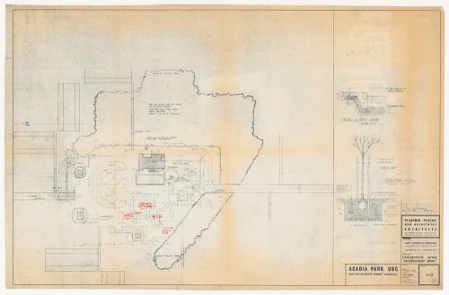 Landscape plan for children's area for Acadia Park, University of British Columbia, Vancouver, British Columbia