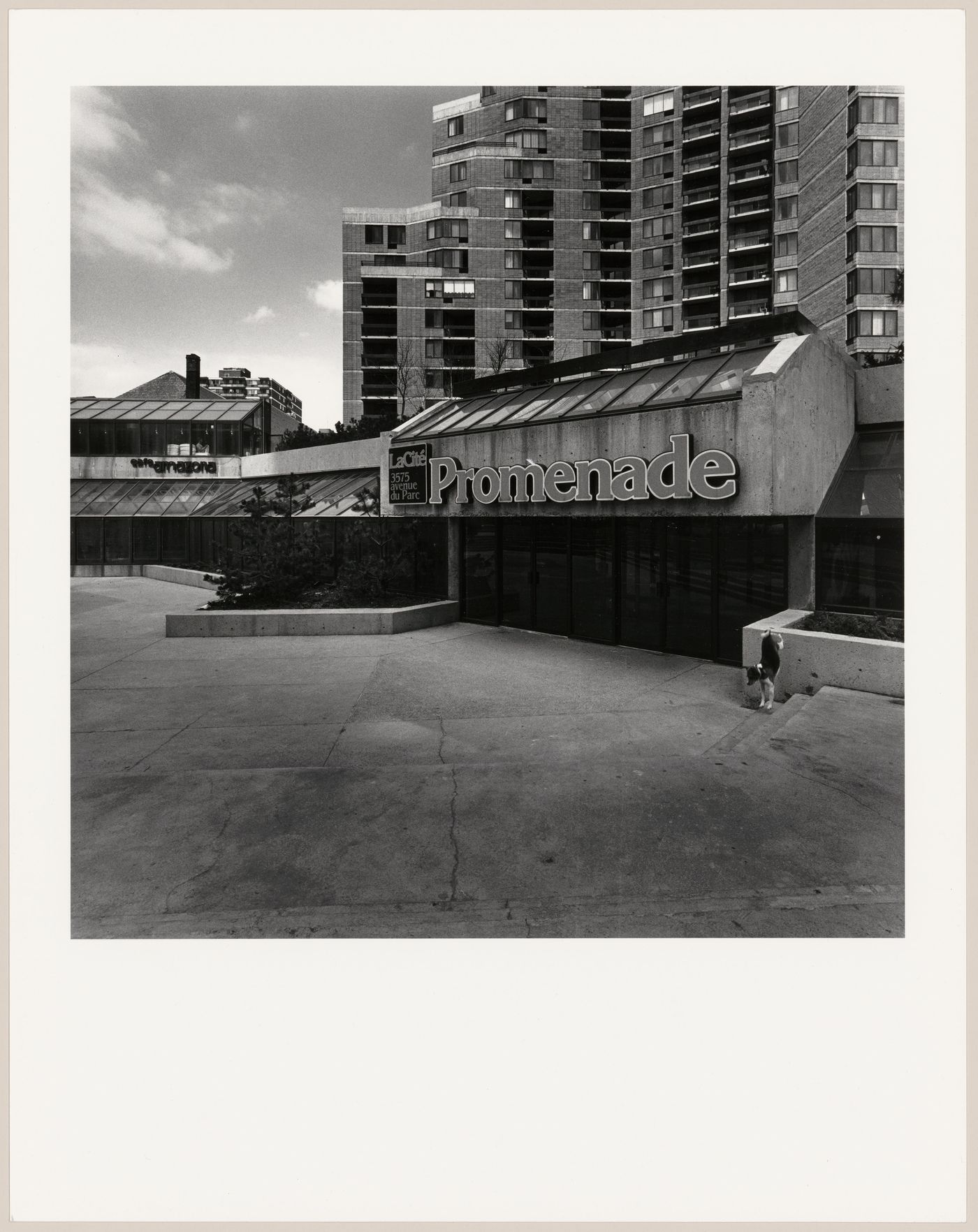 View of an entrance to the Promenade of La Cité, 3575 avenue du Park and rue Prince Arthur, Montréal, Québec