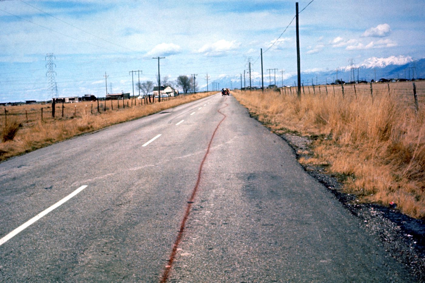 Photograph of line on road for Red Line