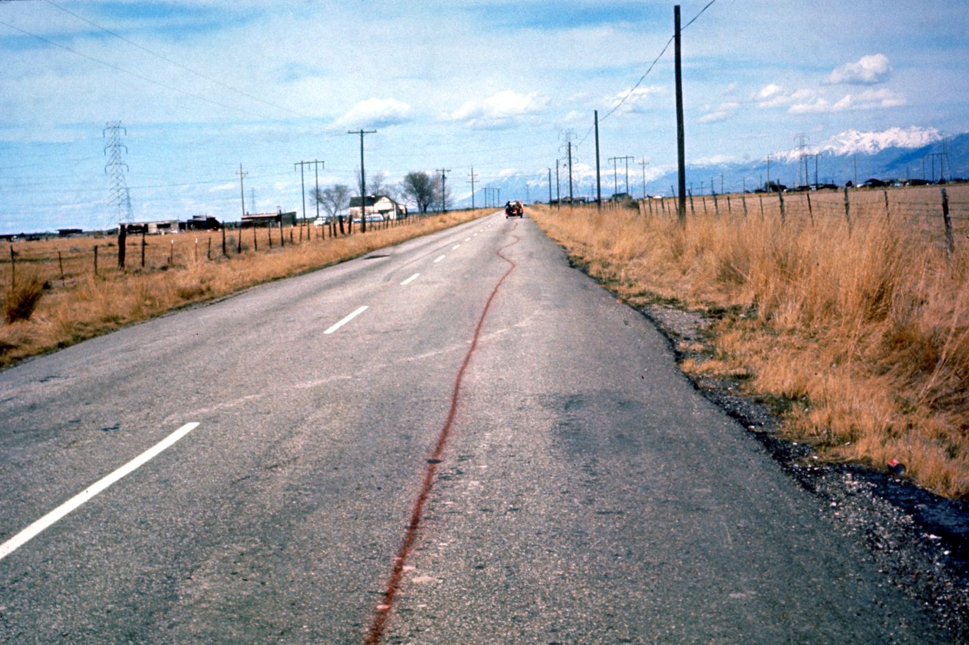 Photograph of line on road during of performance of Red Line