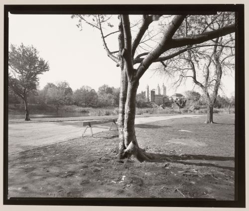 Looking towards the Belvedere, Central Park, Manhattan, New York City, New York
