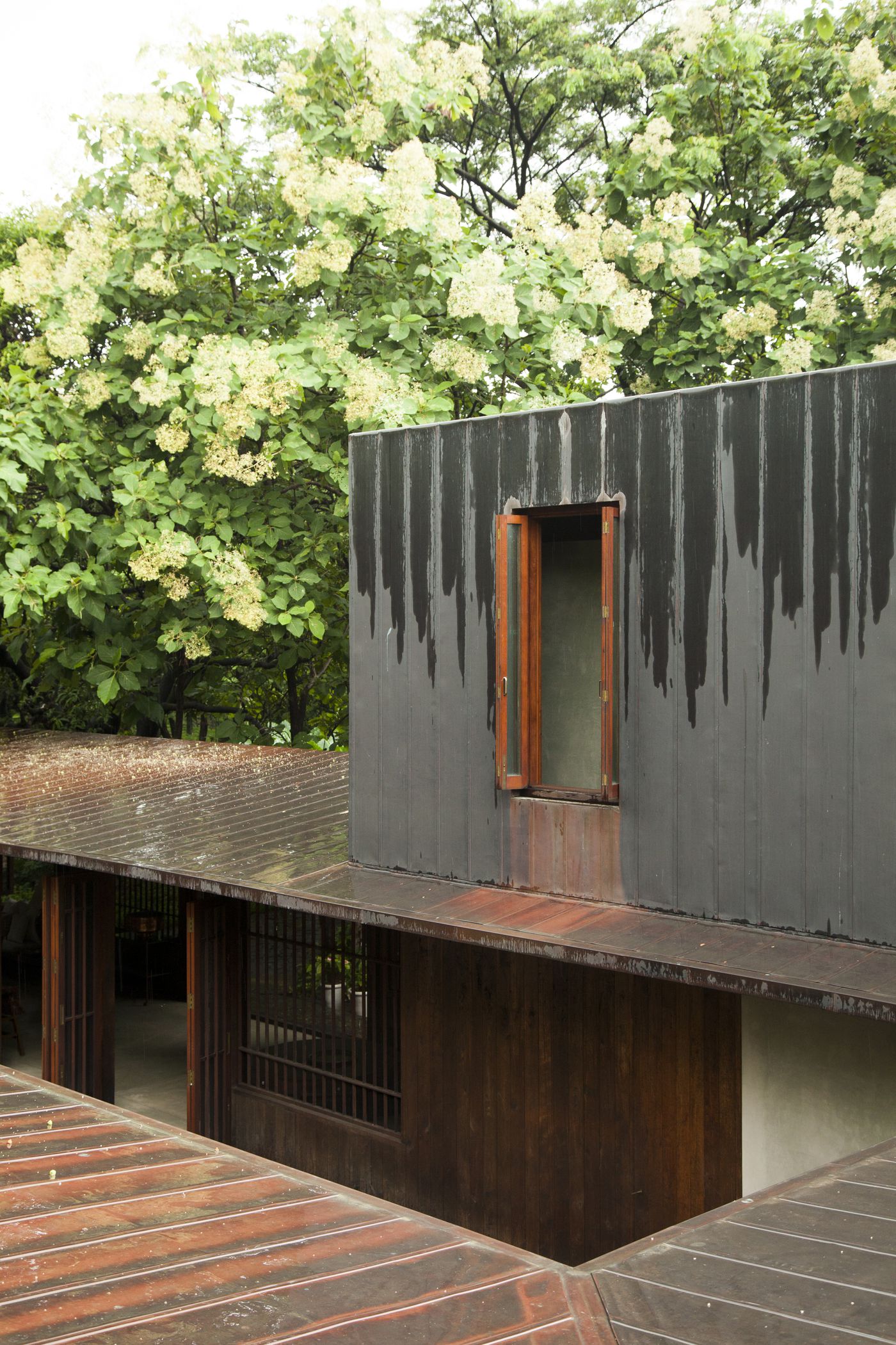 Copper House II : roof and courtyard