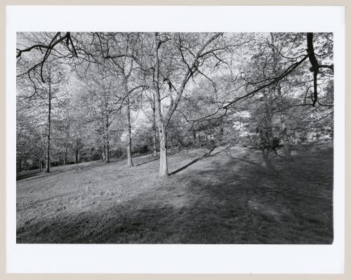 The Arnold Arboretum, Boston, Massachusetts