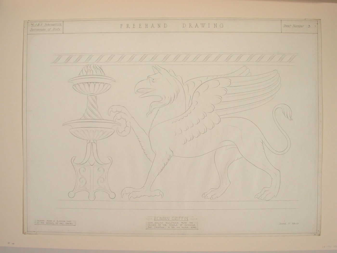 Testimony of study drawing showing a profile view of the Roman Griffin from the Temple of Antoninus and Faustina, Rome
