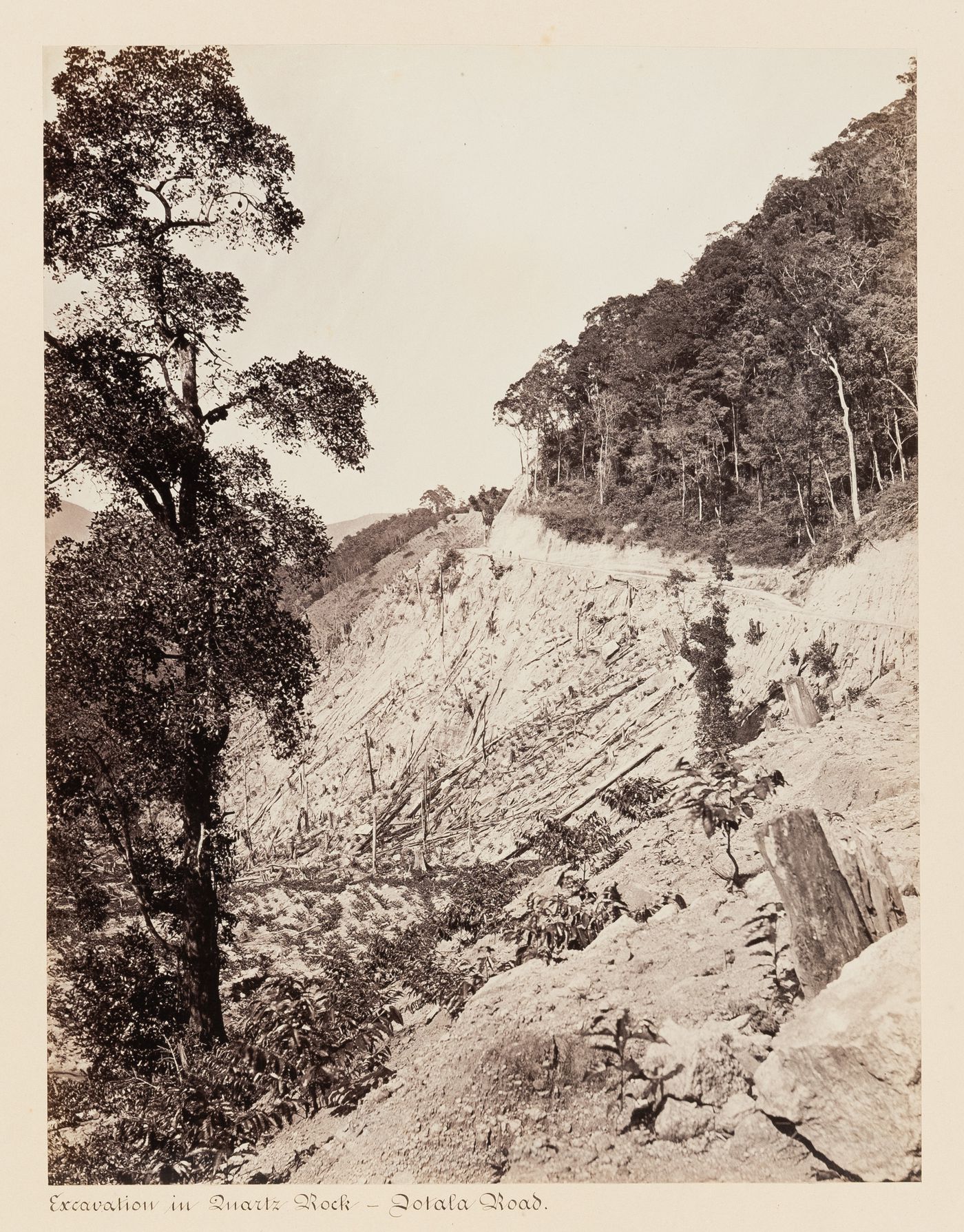 View of Dotala Road, Ceylon (now Sri Lanka)
