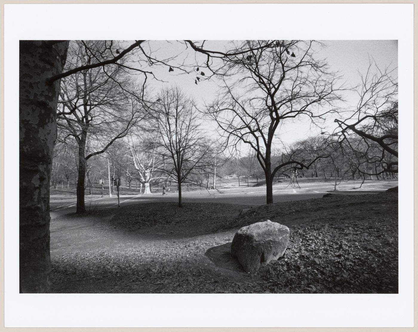 Central Park, Manhattan, New York City, New York