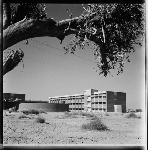 Negative of Punjab Agricultural College in Hisar, India