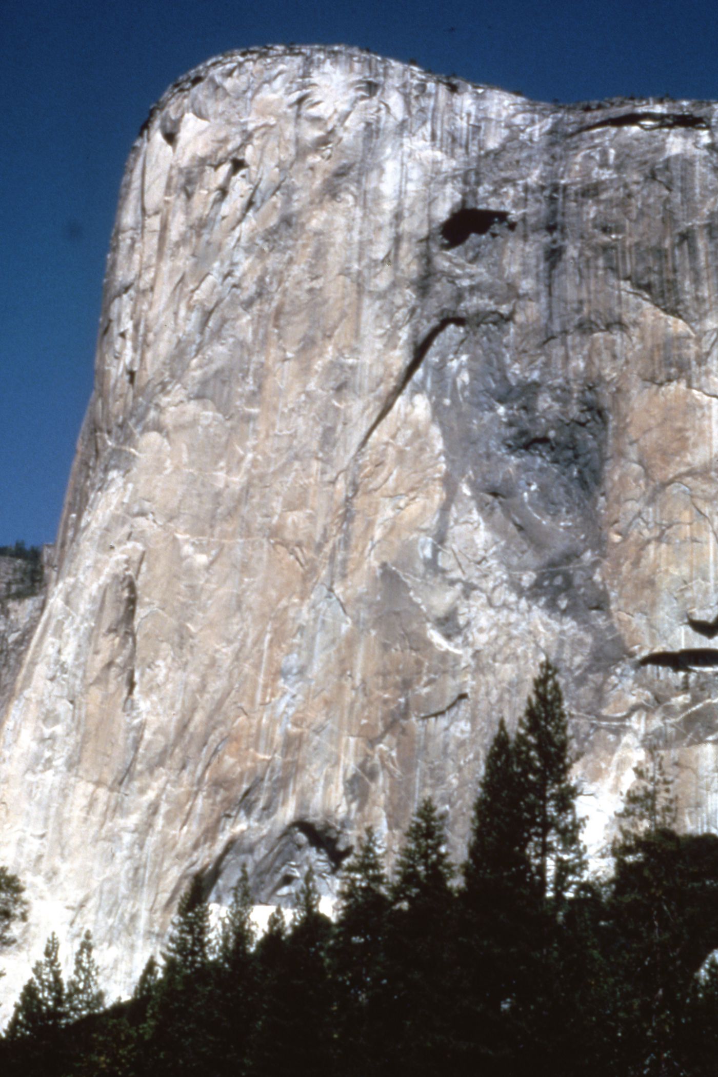 Photograph of El Capitan, Yosemite National Park (?) for research for Olmsted: L'origine del parco urbano e del parco naturale contemporaneo