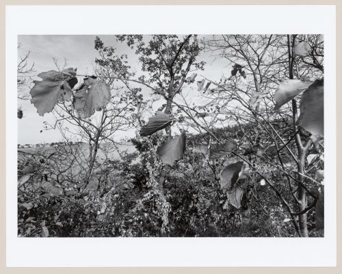 View from Planter's Hill towards World's End, World's End, Hingham, Massachusetts