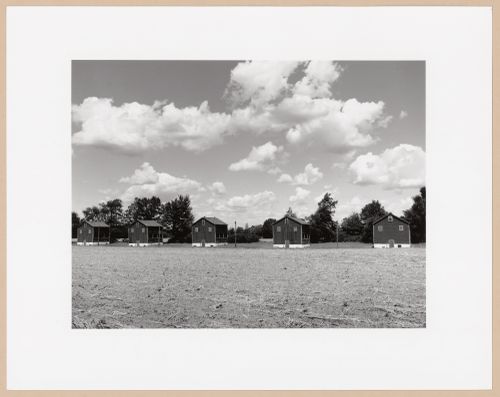 Tobacco sheds, Tillsonburg, Ontario, from the series The Forms of Canadian Industrial Architecture