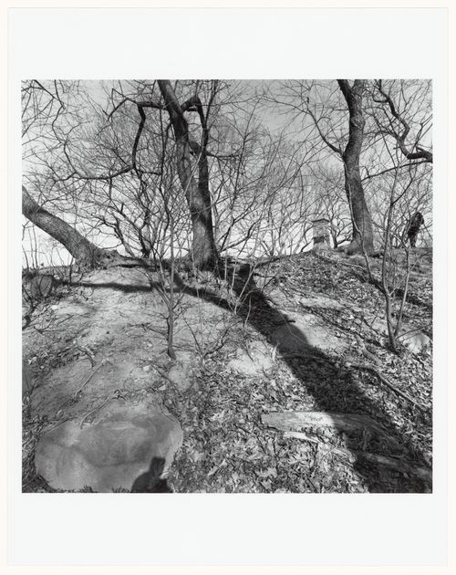 Prospect Park, Brooklyn, New York