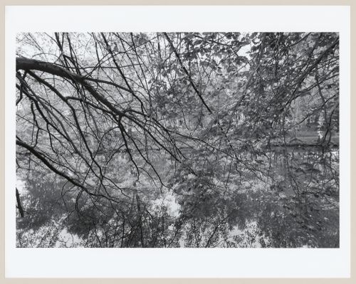 View along Muddy River Improvement, Boston, Massachusetts