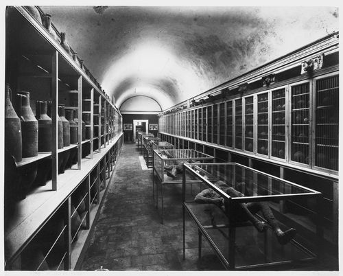 Museum, Pompei c. 1875