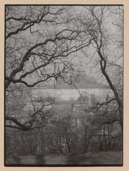 Distant view of the city, especially St. Veits Cathedral towers, through interlaced tree branches, Prague, Czech Republic