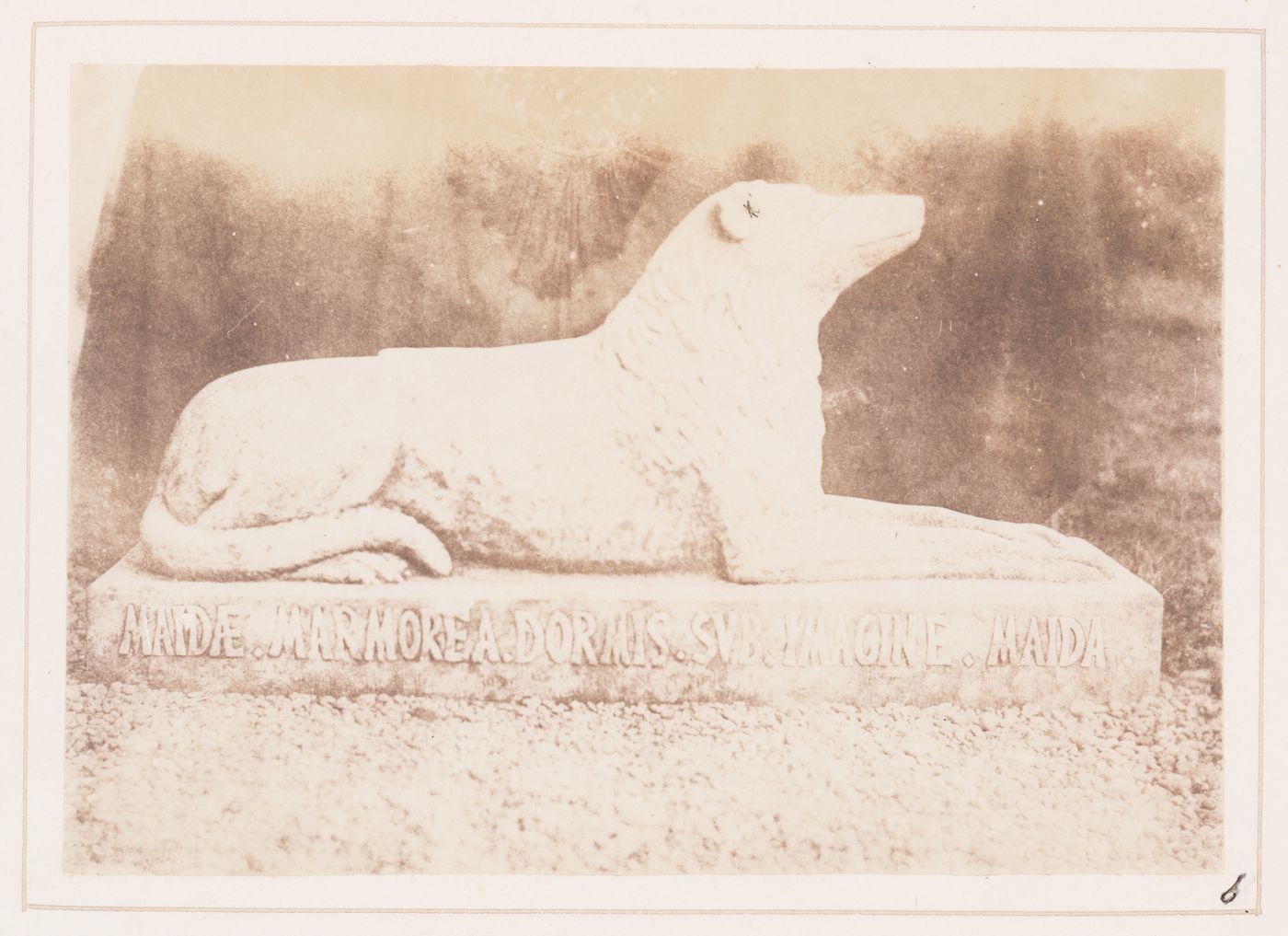 Effigy of Sir W. Scott's favourite dog Maida, by the side of the hall door at Abbotsford, Scotland

