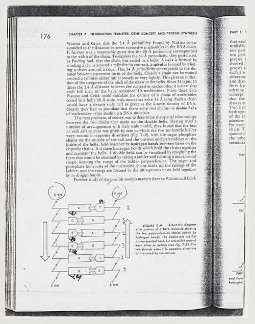Copy of a book page with partial description and schematic diagram of a portion of a DNA molecule, documentation for Biocentrum - Biology Center for the J.W. Goethe University, Frankfurt am Main, Germany