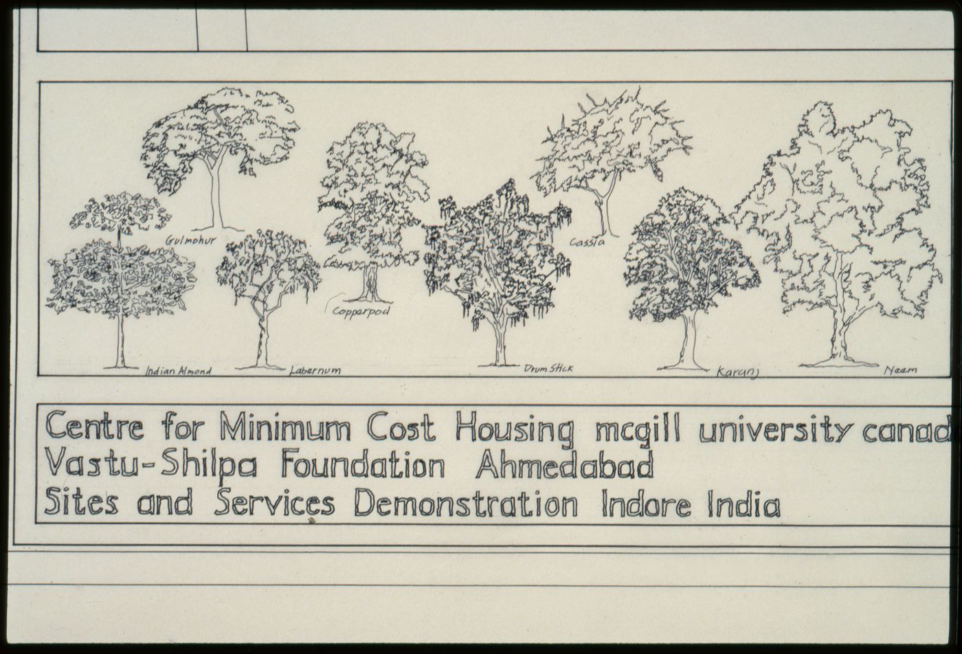 Types of trees for planting for the Aranya Housing Project, Indore, India