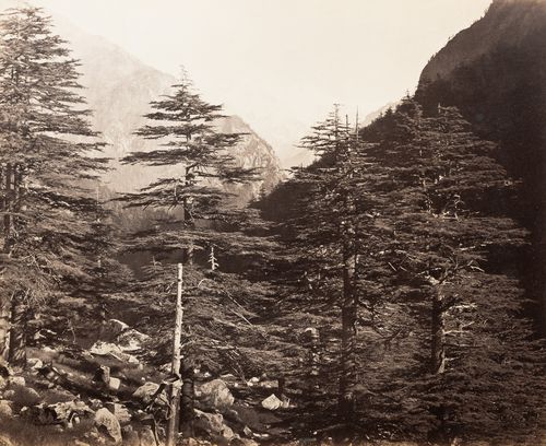 View of Himalayas, Gangootri (now Gangotri), India