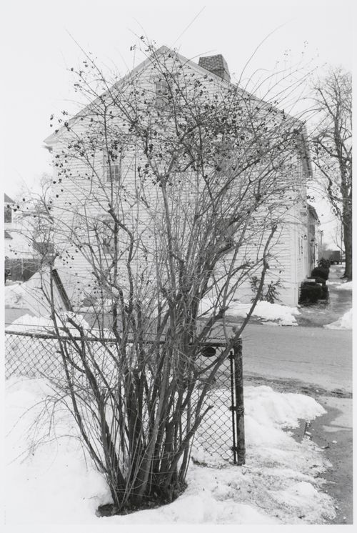 Two-storey house seen from side behind wire fence and low tree, Rhode Island