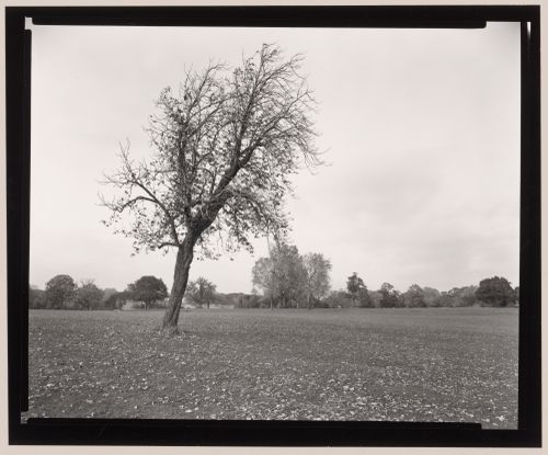 Delaware Park, Buffalo, New York
