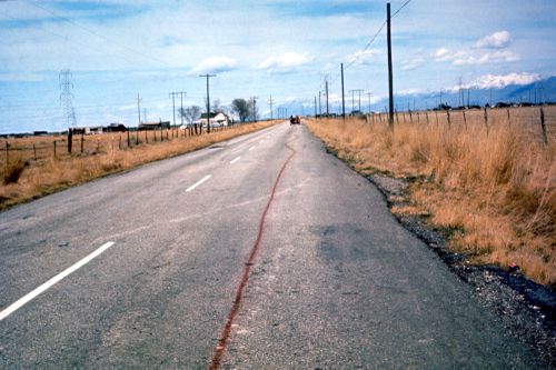 Photograph of line on road during of performance of Red Line