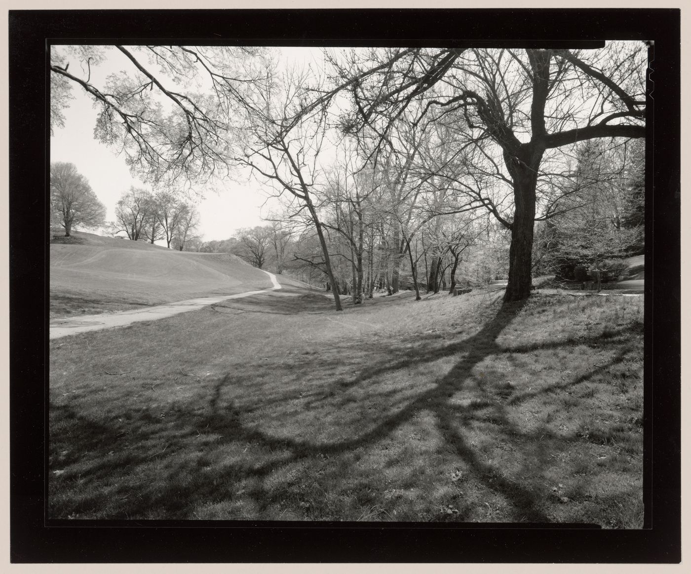 View along golf hole 7, Cherokee Park, Louisville, Kentucky