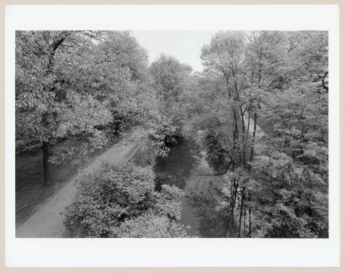 View from the Longwood Avenue Bridge, Muddy River Improvement, Boston, Massachusetts