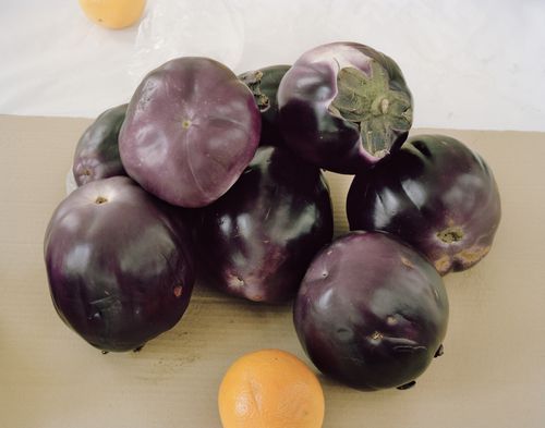 Nature Morte with Obergines, 2016