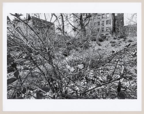 View towards Ninth Avenue, Prospect Park, Brooklyn, New York City, New York