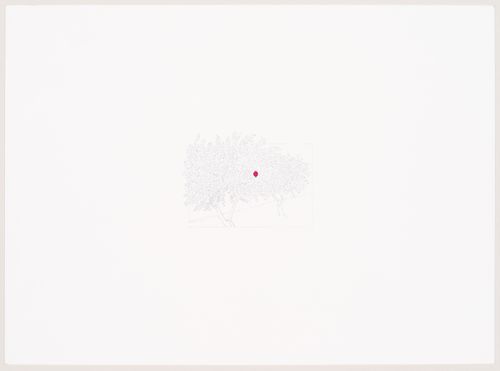 Weavers' Studio : sketch of proposed pomegranate grove to provide natural dye for silk