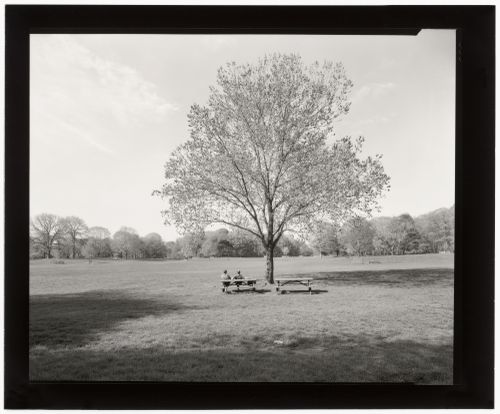 View of the Nethermead, Prospect Park, Brooklyn, New York