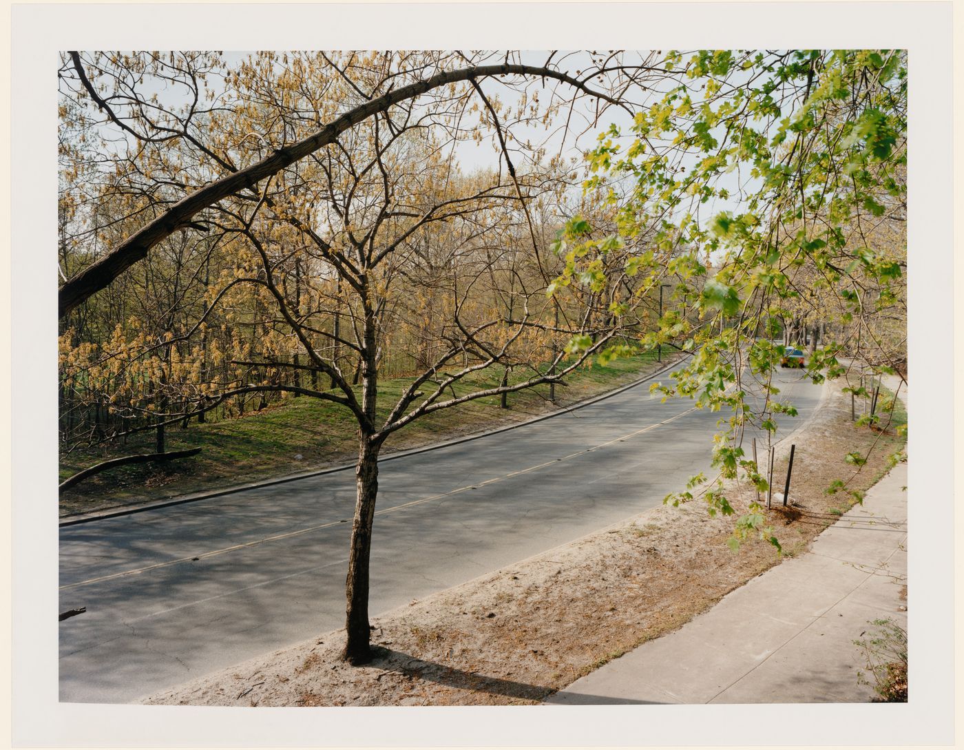 Viewing Olmsted View from the Goddard House, The Riverway, Boston