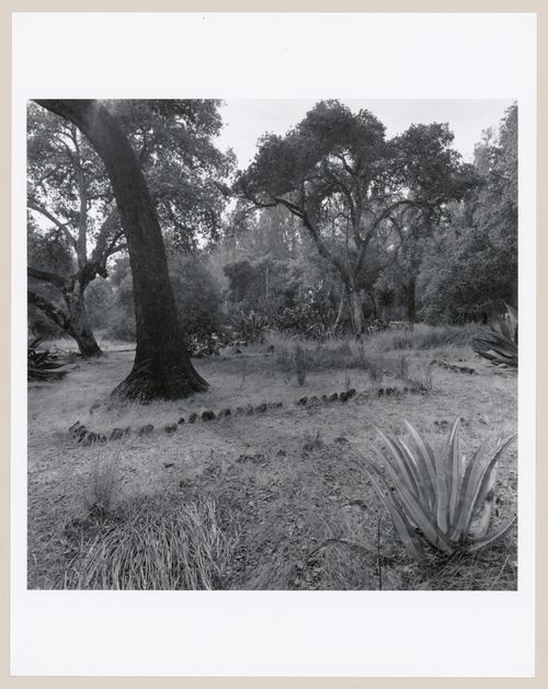 Stanford University, Palo Alto, California