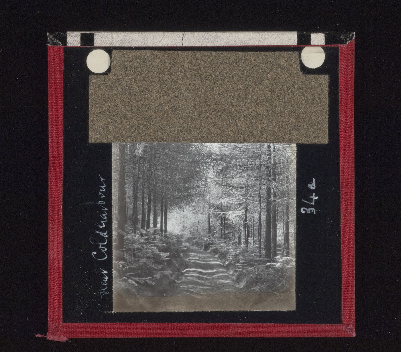 View of a road through a forest near Coldharbour, England