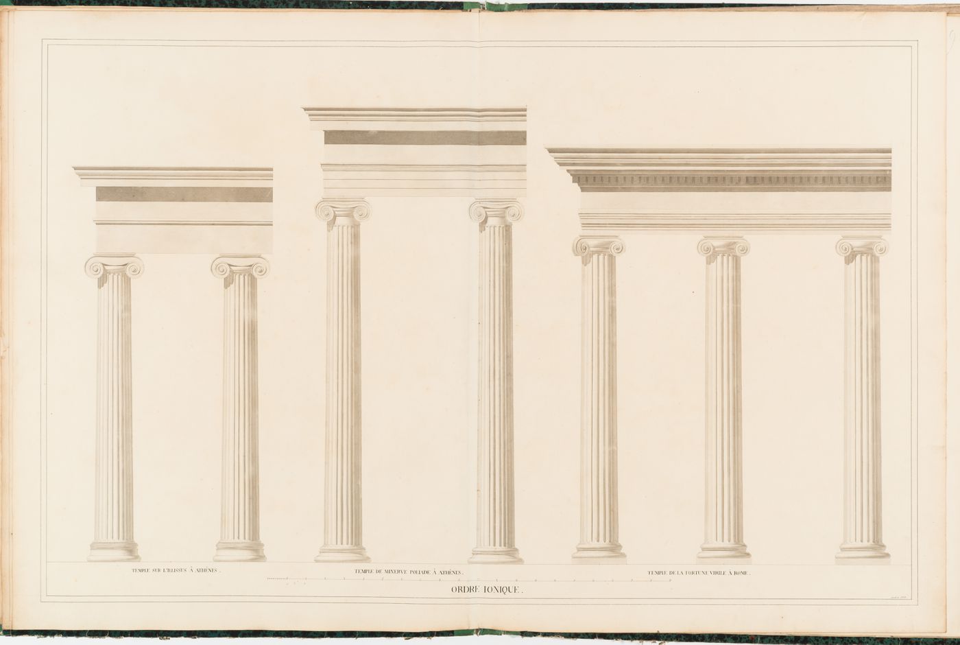 Partial elevations of columns and entablatures from three Ionic temples: Temple on the Illissus and the Temple of Athena Nike, Athens, and the Temple of Fortuna Virilis, Rome