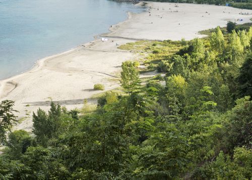 An Enduring Wilderness: Cudia Park beach, Toronto