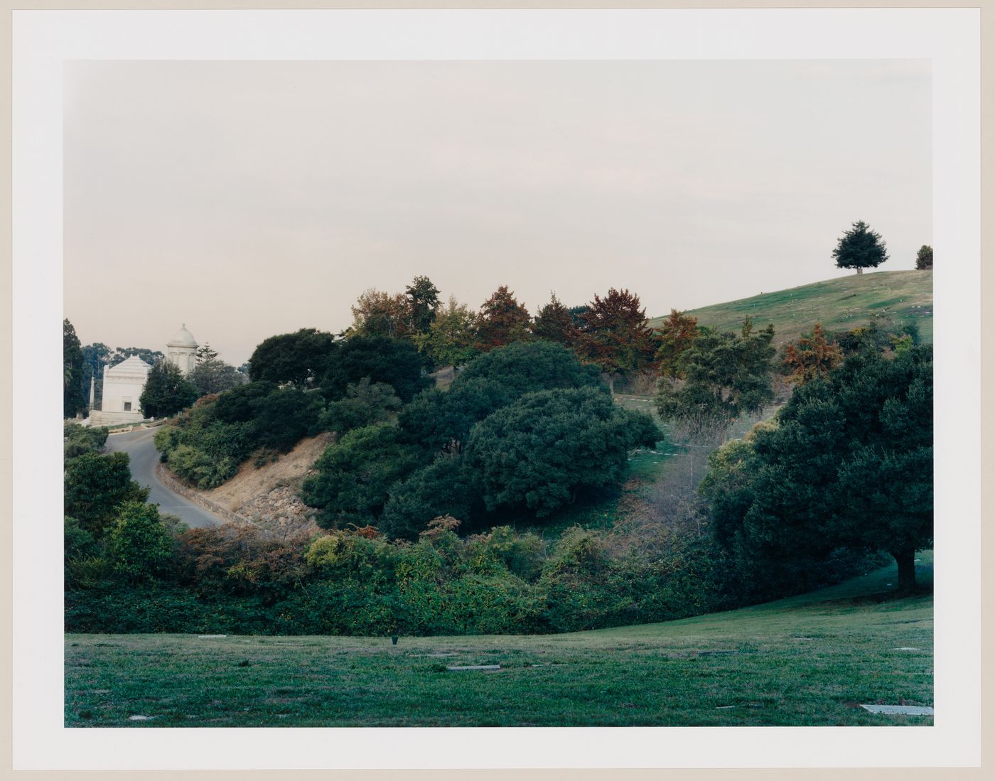 Viewing Olmsted: View at summit, overcast day, Mountain View Cemetery, Oakland