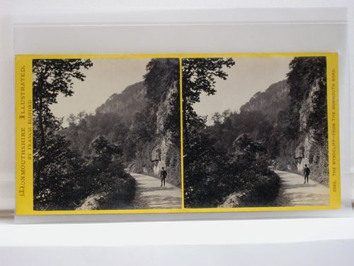 Monmouthshire Illustrated. The Wyndcliff - from the Monmouth Road
