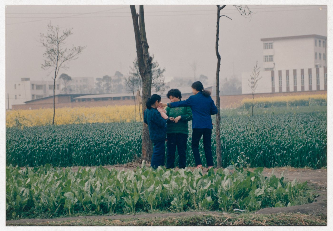 View of cultivated fields and three residents and a baby in rural Sichuan province, China