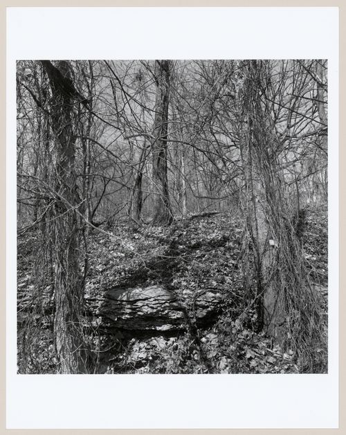 Iroquois Park, Louisville, Kentucky