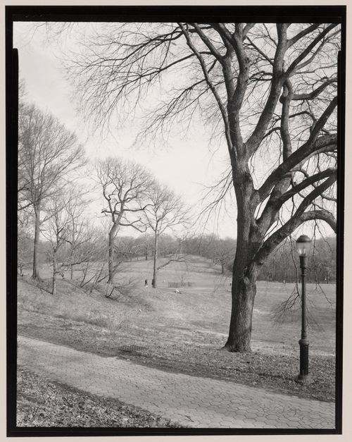 Long Meadow, Prospect Park, Brooklyn, New York City, New York Long