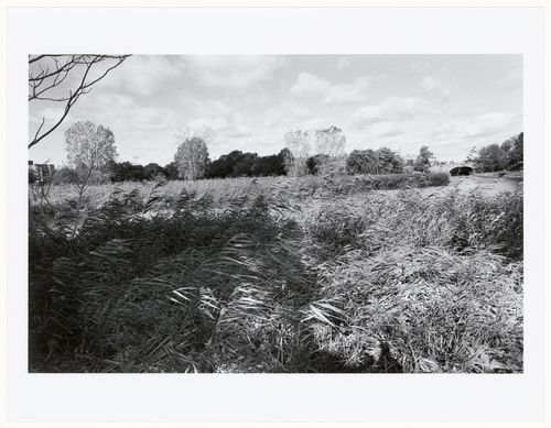 The Agassiz Bridge, Back Bay Fens, Boston, Massachusetts
