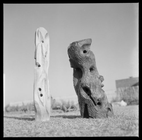 Negative of wood sculptures by Prakash at the Punjab Agricultural University, Ludhiana, India
