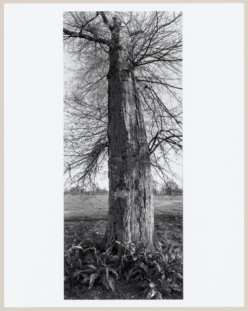 Shawnee Park, Louisville, Kentucky