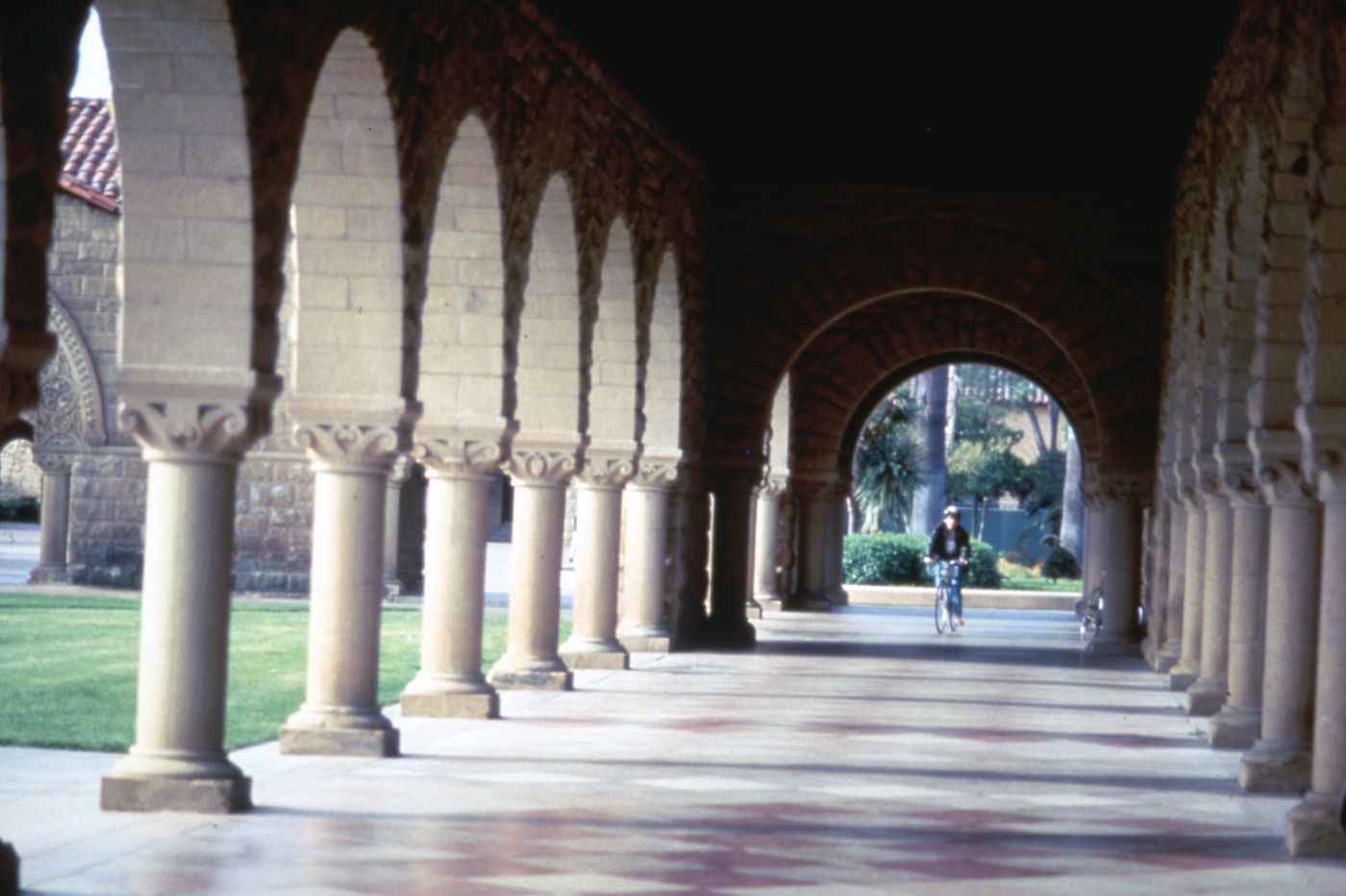 Photograph of Stanford University for research for Olmsted: L'origine del parco urbano e del parco naturale contemporaneo