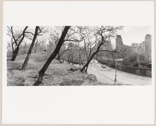 [62] Transverse Road, Central Park, New York City, New York