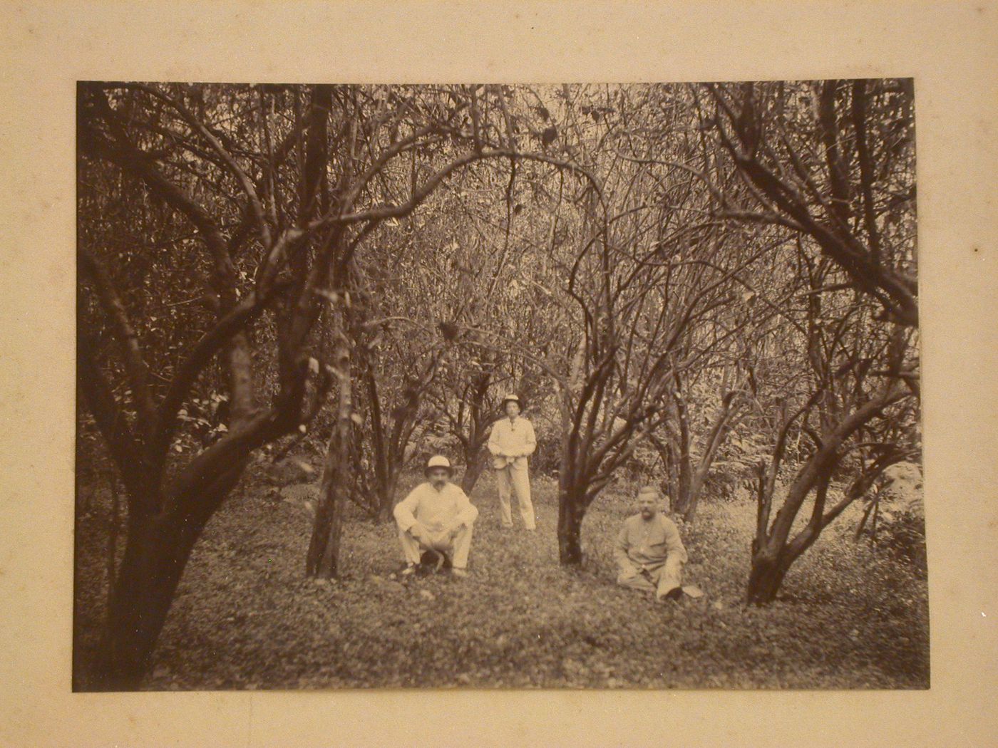 View of three men in a wooded area