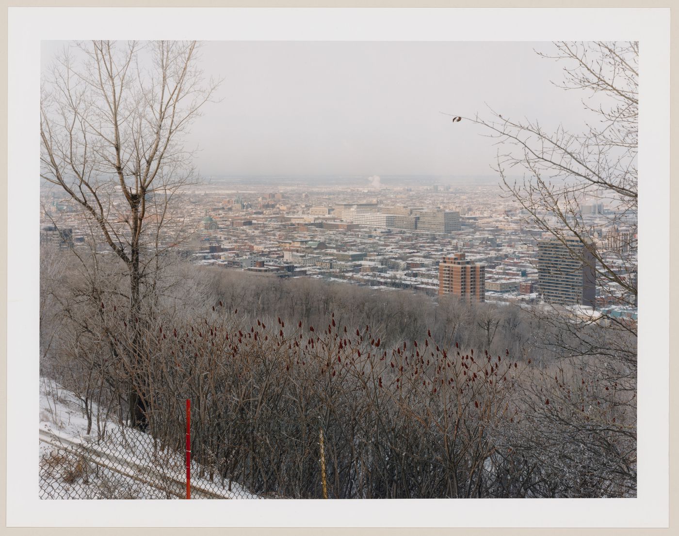 Viewing Olmsted: View looking northeast from the lookout, Mount Royal, Montréal, Québec
