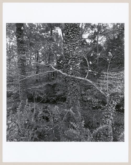 Druid Hills, Atlanta, Georgia, United States