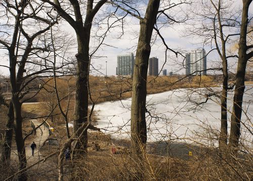 An Enduring Wilderness: Grenadier Pond, High Park, Toronto